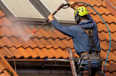 Démoussage et hydrofuge de toiture à Mandres
